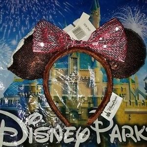 Disney Parks Ice Cream Bar Snacks Ears